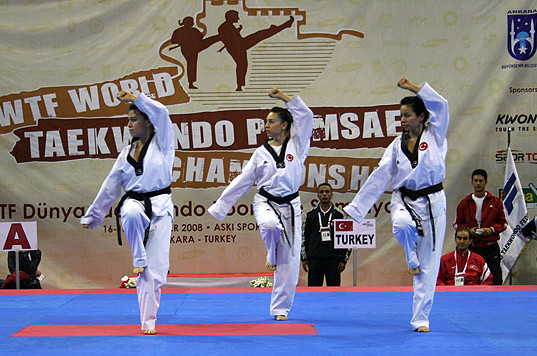 2012-12-05_414x_Poomsae_Turkey